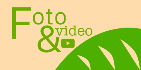 foto e video